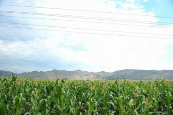 Programele selectate pentru promovarea produselor agricole în UE şi în ţări terţe vor fi transmise Comisiei până pe 15 iunie